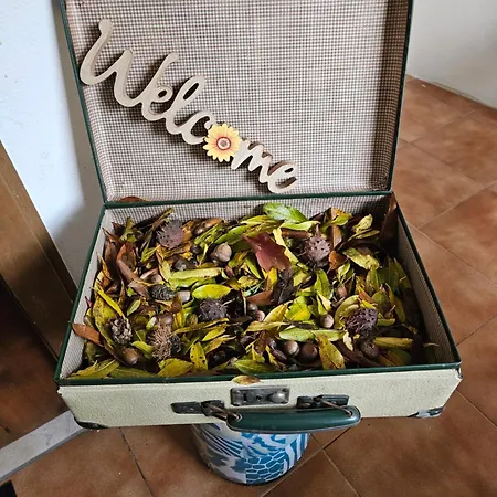 Appartement Il Riposo Del Viaggiatore