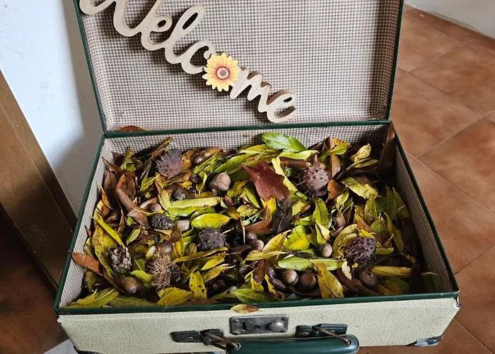 Apartment Il Riposo Del Viaggiatore